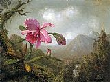 Orchid and Hummingbird near Mountain Waterfall by Martin Johnson Heade